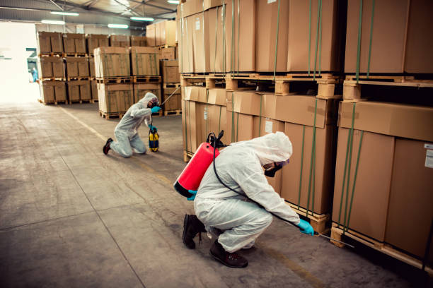Best Termite Control Services  in Torrance, CA