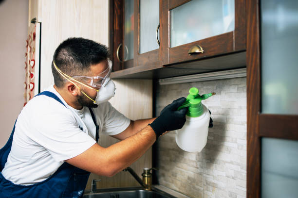 Best Local Pest Control Services  in Torrance, CA