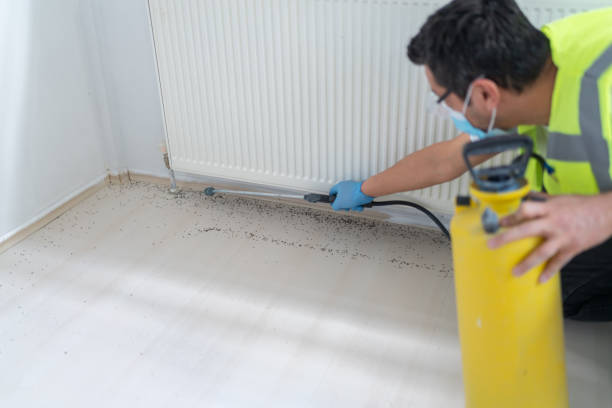 Best Commercial Pest Control Services  in Torrance, CA